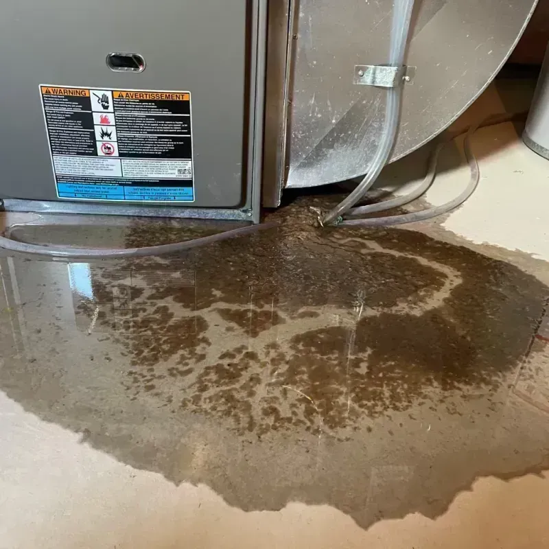 Appliance Leak Cleanup in Youngsville, LA